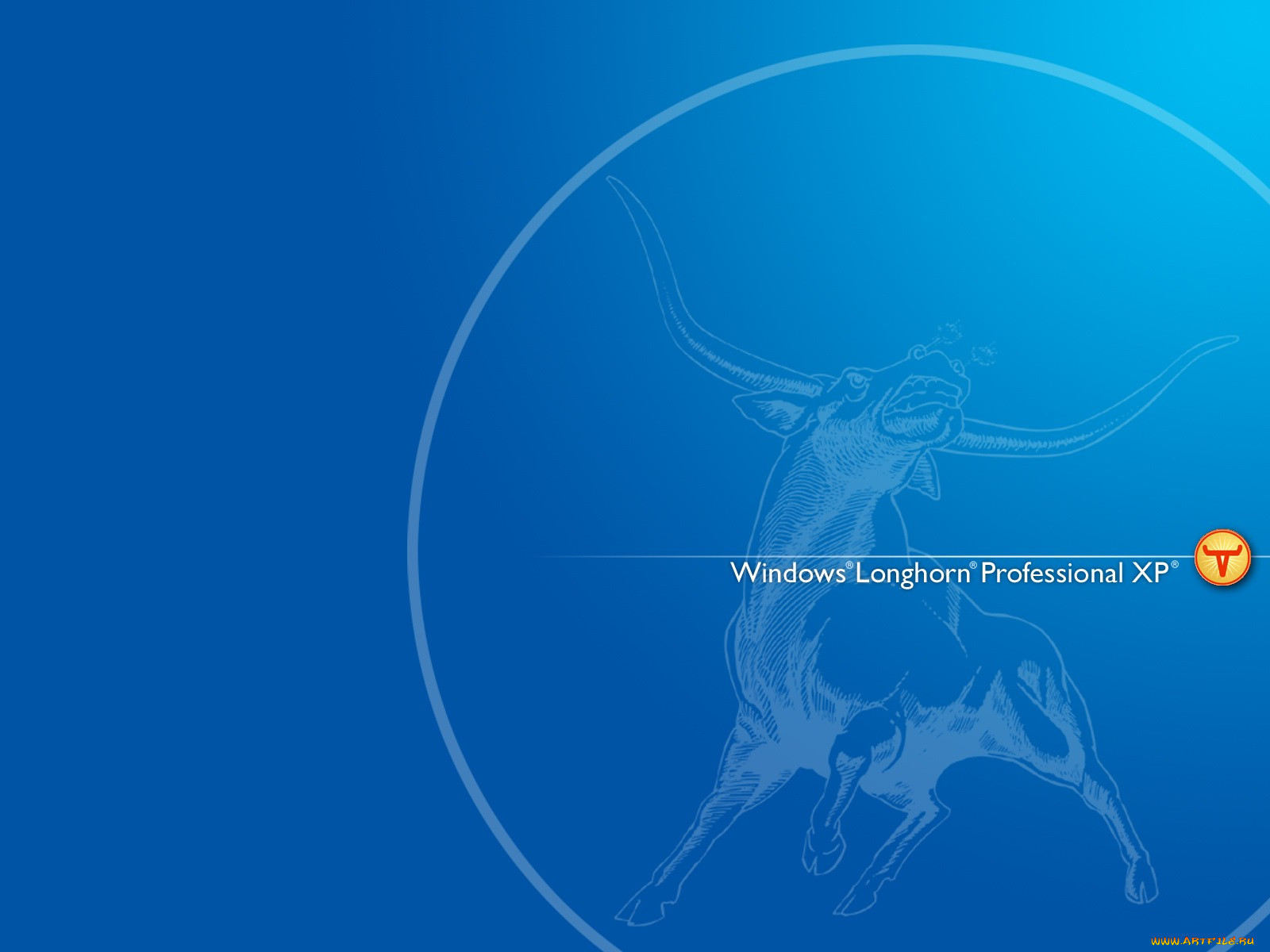 , windows, xp